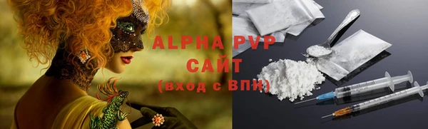 PSILOCYBIN Верхний Тагил