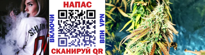 Бошки Шишки семена  OMG   Михайловка  купить наркотики сайты 